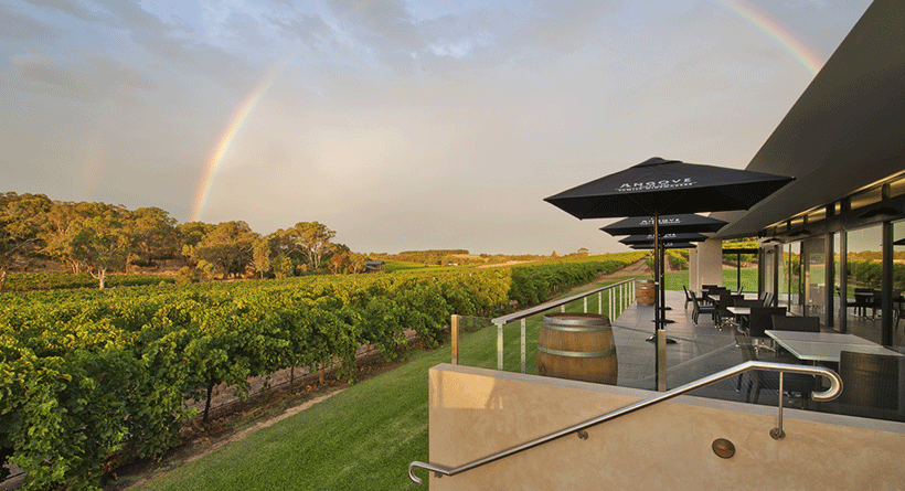 Angove Family Winemakers Cellar Door